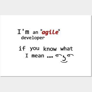 Agile ( ͡° ͜ʖ ͡°) Posters and Art